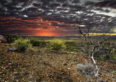 East of Vulkathuna - Flinders Ranges, South Australia