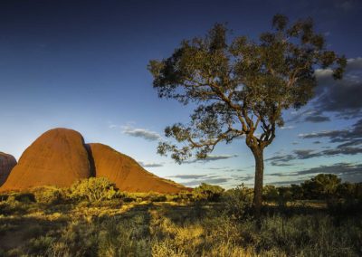 Last light on Kata Tjuta#1 - Uluru National Park, Northern Territory