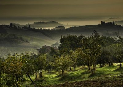 Tuscan landscape #6